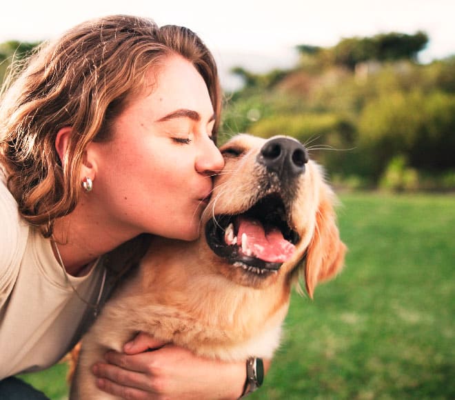 Especialidad Mascotas