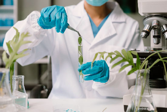 Seguro Biotecnología